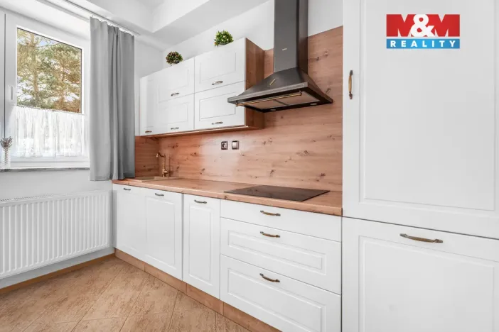 Prodej ubytování, Borušov - Svojanov, 1890 m2