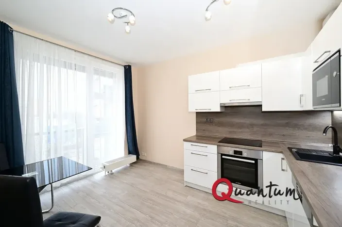 Pronájem bytu 1+kk, Praha - Žižkov, Olgy Havlové, 38 m2