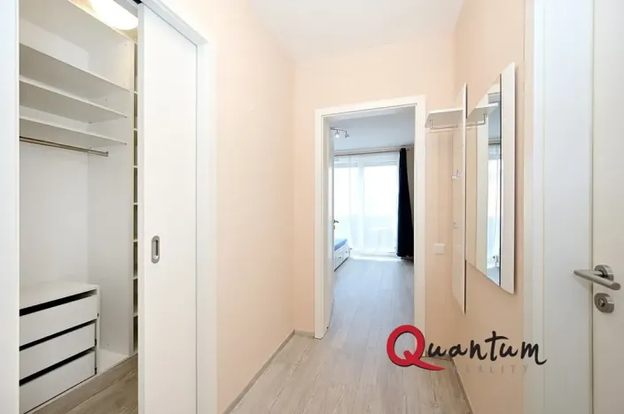 Pronájem bytu 1+kk, Praha - Žižkov, Olgy Havlové, 38 m2