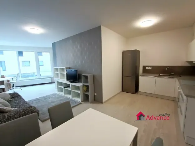 Pronájem bytu 1+kk, Ostrava, Důlní, 54 m2