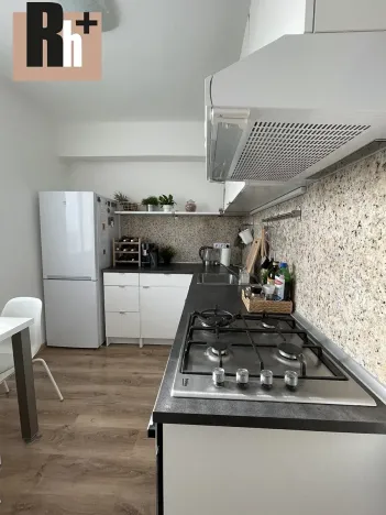 Pronájem bytu 1+1, Ostrava, Opavská, 35 m2