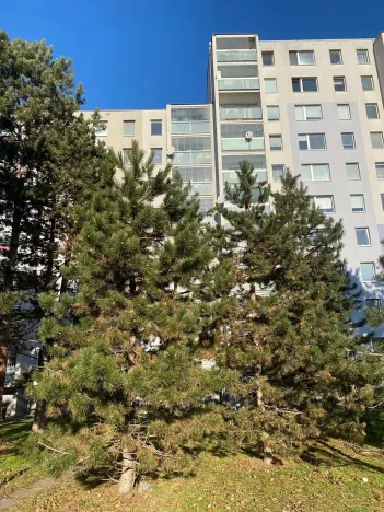 Prodej bytu 3+1, Praha - Háje, Matúškova, 77 m2