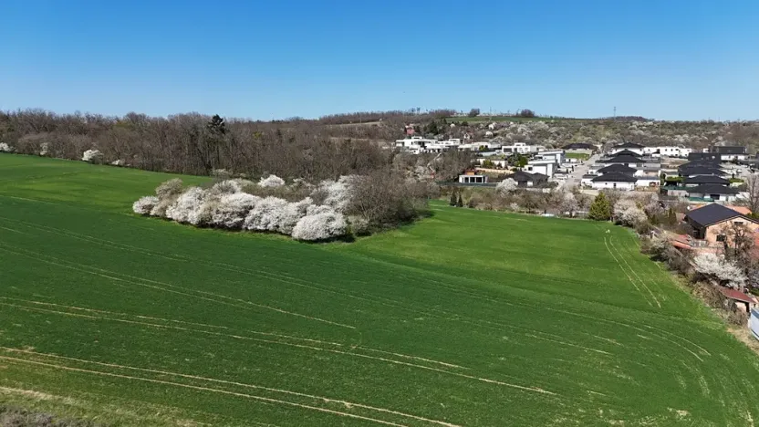 Prodej pozemku pro bydlení, Hajany, 500 m2