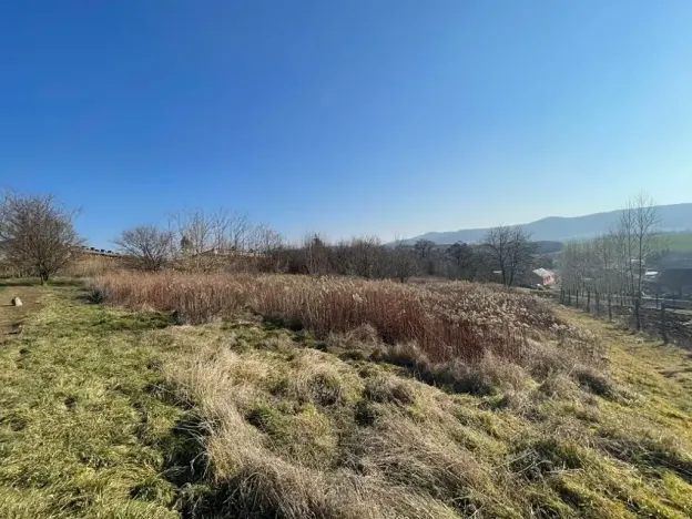 Dražba pozemku pro bydlení, Koryčany, 1821 m2