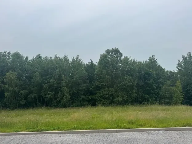 Dražba pozemku pro bydlení, Slavče, 1251 m2