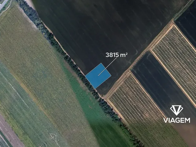 Prodej pole, Podivín, 3815 m2