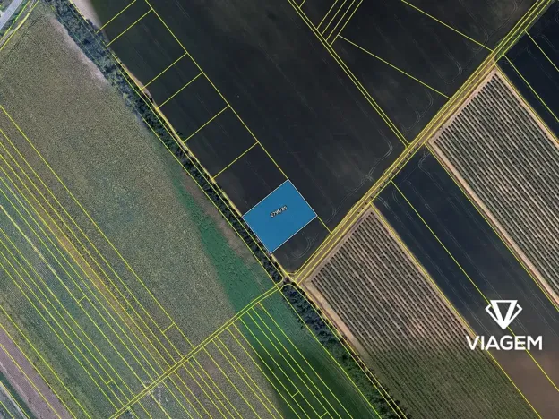 Prodej pole, Podivín, 3815 m2