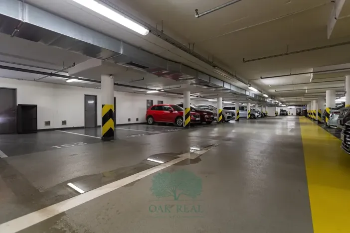 Pronájem bytu 3+kk, Praha - Vinohrady, Korunní, 106 m2