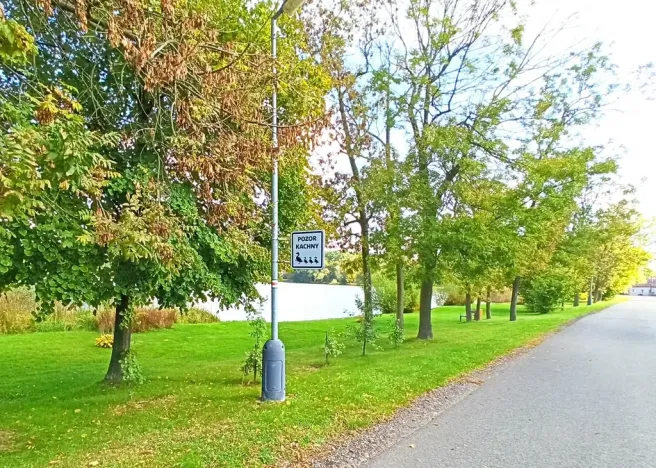 Prodej chalupy, Mšecké Žehrovice, 150 m2