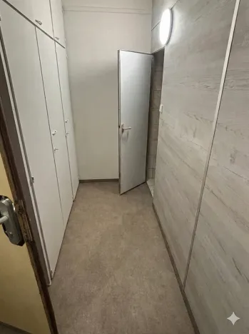 Prodej bytu 1+1, Olomouc - Nová Ulice, Pionýrská, 45 m2