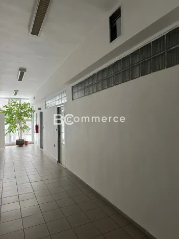 Pronájem kanceláře, Brno, 70 m2