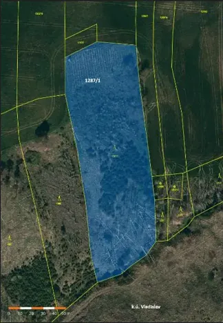 Prodej lesa, Vladislav, 11904 m2