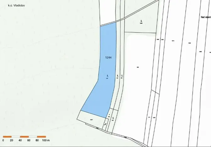 Prodej lesa, Vladislav, 9412 m2