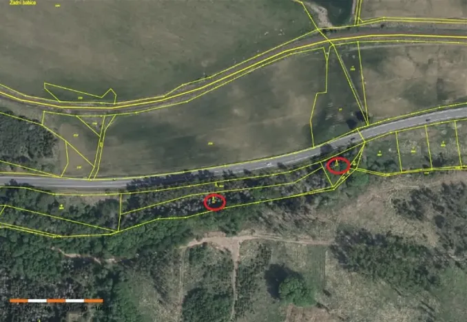 Prodej lesa, Vladislav, 4743 m2