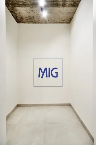 Pronájem bytu 2+kk, Brno, Cejl, 35 m2