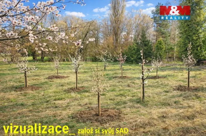 Prodej zahrady, Kořenice - Chotouchov, 1052 m2