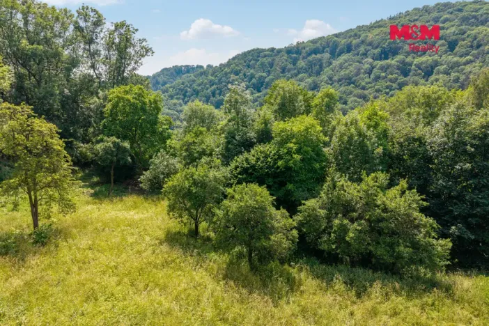 Prodej zahrady, Ryjice, 1648 m2