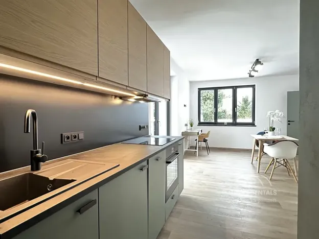 Pronájem bytu 3+kk, Hradec Králové, Přemyslova, 53 m2