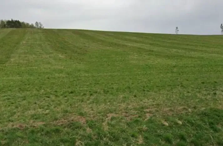 Dražba pole, Horní Cerekev, 18662 m2