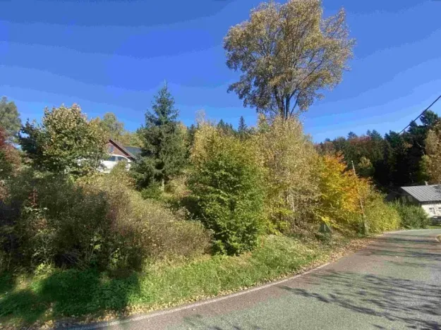 Dražba louky, Lučany nad Nisou, 179 m2