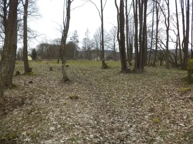 Dražba pozemku pro bydlení, Dolní Nivy, 1221 m2