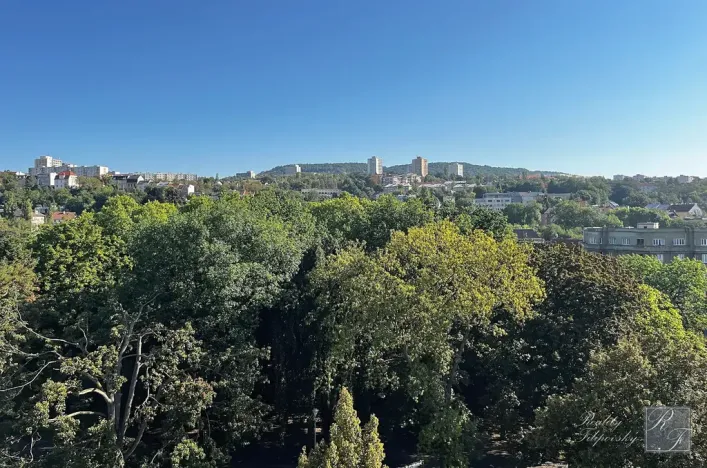 Pronájem bytu 2+1, Ústí nad Labem, U Nemocnice, 90 m2