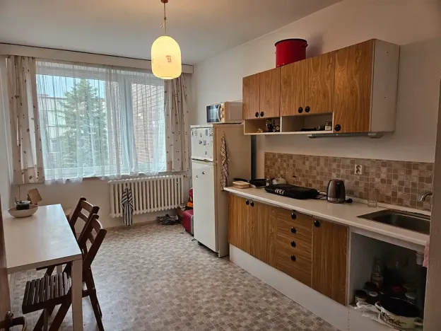 Pronájem pokoje, Praha - Dejvice, Starého, 14 m2