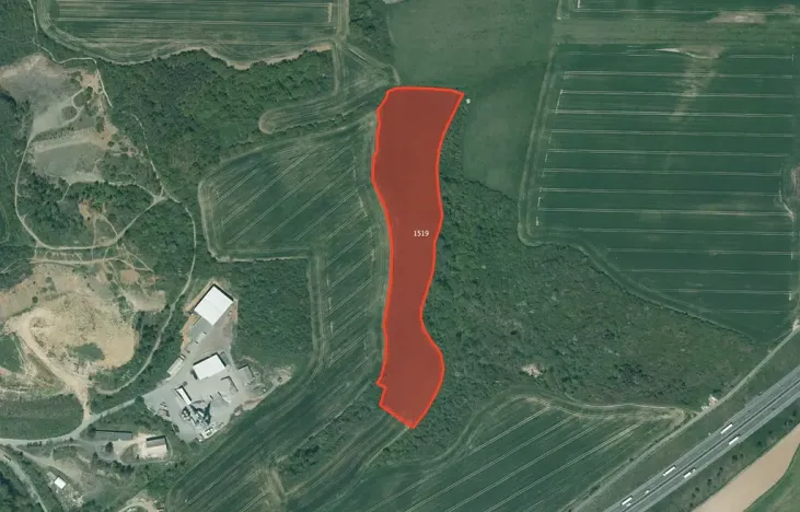 Prodej louky, Starý Plzenec, 59266 m2