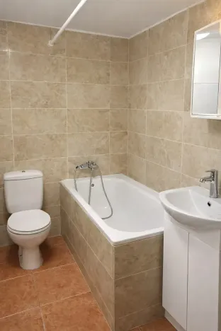 Pronájem bytu 1+1, Praha - Nové Město, Krakovská, 55 m2