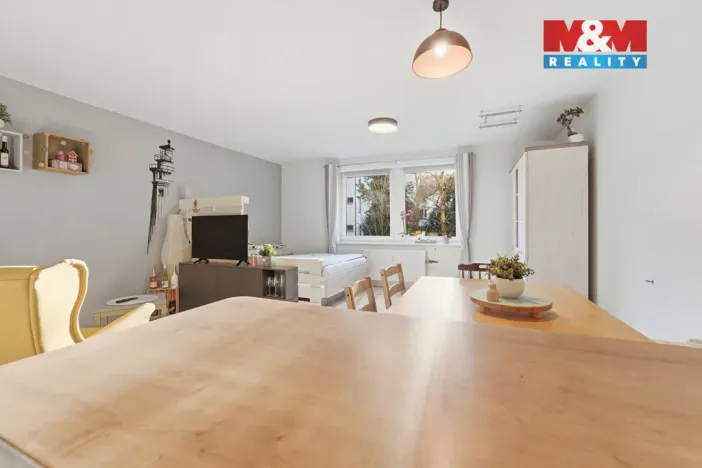 Prodej bytu 1+kk, Plzeň - Východní Předměstí, Guldenerova, 52 m2