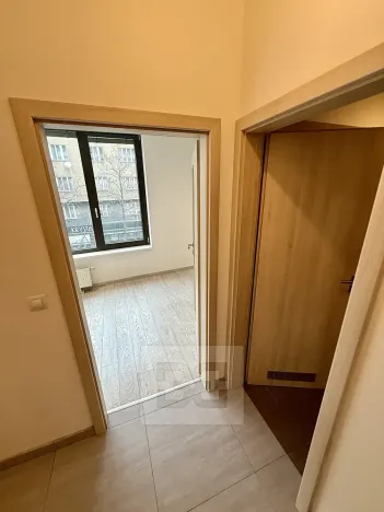 Pronájem bytu 1+kk, Praha - Karlín, Sokolovská, 40 m2