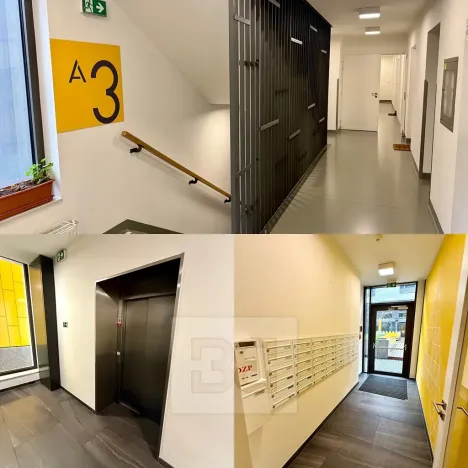 Pronájem bytu 1+kk, Praha - Karlín, Sokolovská, 40 m2