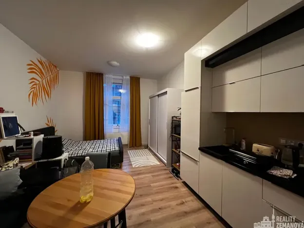 Pronájem bytu 1+kk, Praha - Žižkov, Bořivojova, 31 m2