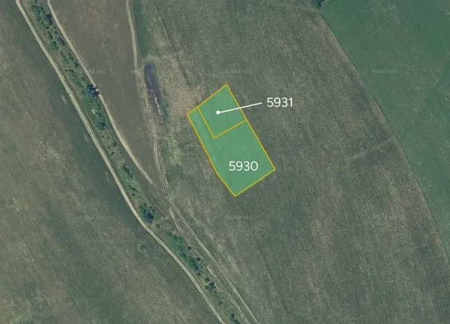 Prodej pole, Stará Turá, Slovensko, 5600 m2