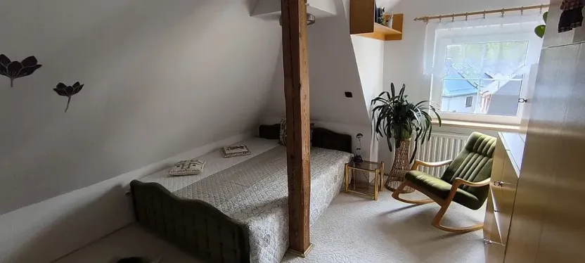 Prodej vícegeneračního domu, Aš, Květnová, 330 m2