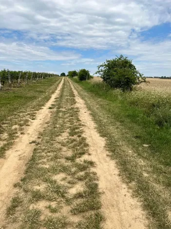 Prodej podílu pozemku, Vracov, 152 m2