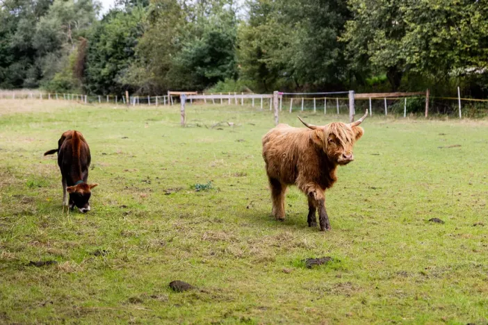 Prodej rodinného domu, Litíč, 60 m2