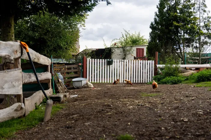 Prodej rodinného domu, Litíč, 60 m2