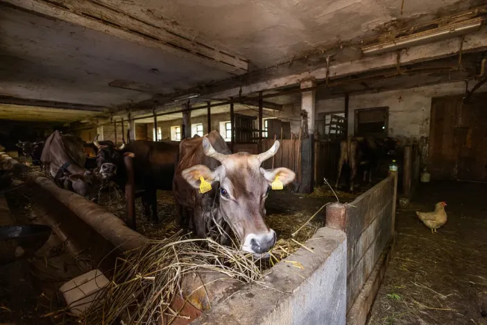 Prodej komerční, Potštejn - Brná, 23296 m2