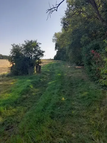 Prodej pozemku, Kolaje, 4429 m2