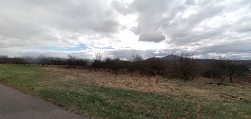 Prodej podílu sadu/vinice, Chotiměř, 4287 m2