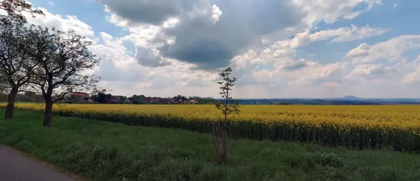 Prodej pole, Štětí, 6006 m2