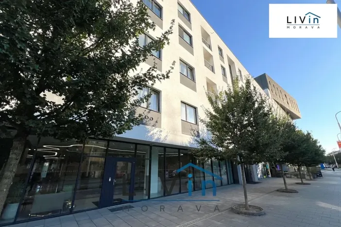 Pronájem bytu 2+kk, Olomouc, Wolkerova, 58 m2