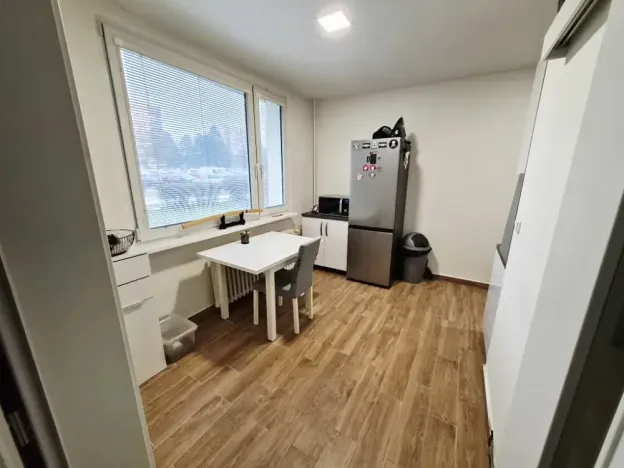 Prodej bytu 1+1, Litoměřice, Odboje, 46 m2