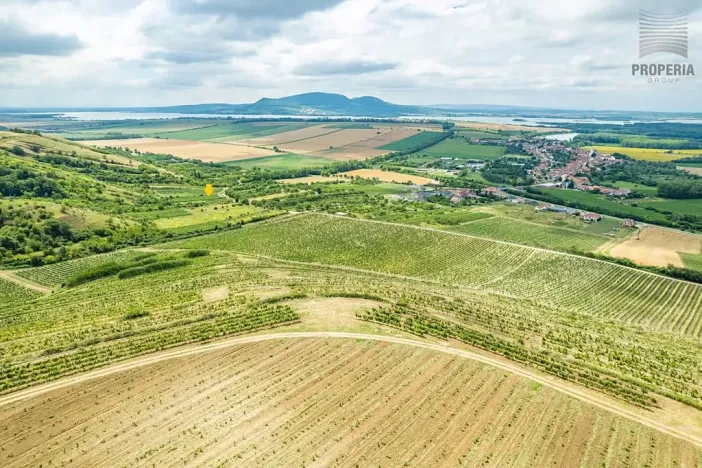 Prodej sadu/vinice, Pouzdřany, 1120 m2