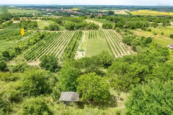 Prodej sadu/vinice, Pouzdřany, 1120 m2
