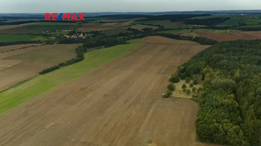 Prodej lesa, Všehrdy, 35057 m2