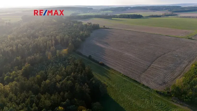 Prodej lesa, Všehrdy, 35057 m2