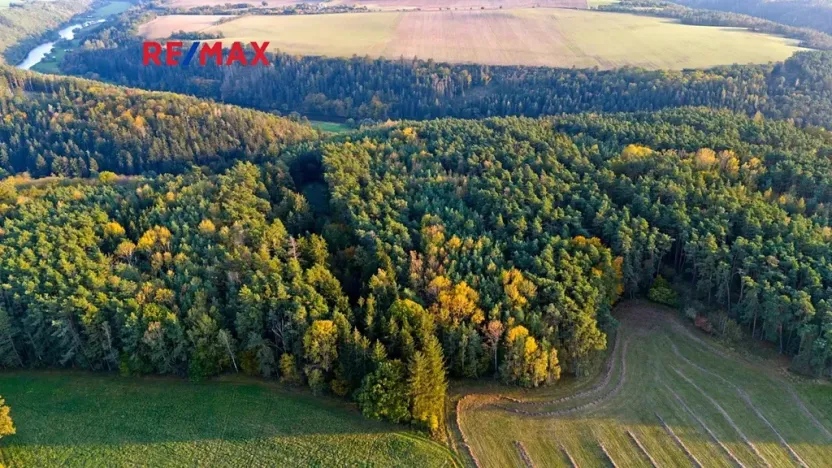 Prodej lesa, Všehrdy, 35057 m2