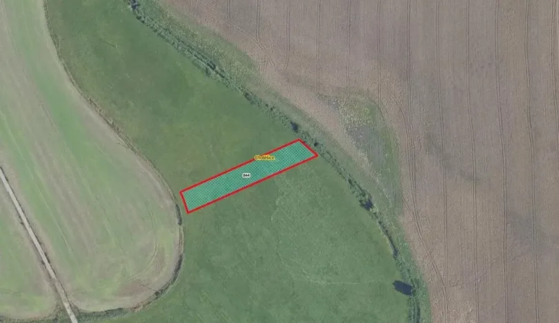 Prodej louky, Chotěšice, 1816 m2